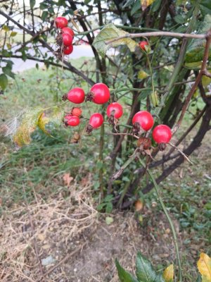 24 часа в красном цвете!!❣️