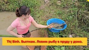 Thị Bình. Вьетнам. Ловим рыбу в пруду у дома.