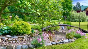 Растения для оформления берега сухого ручья и рокария.