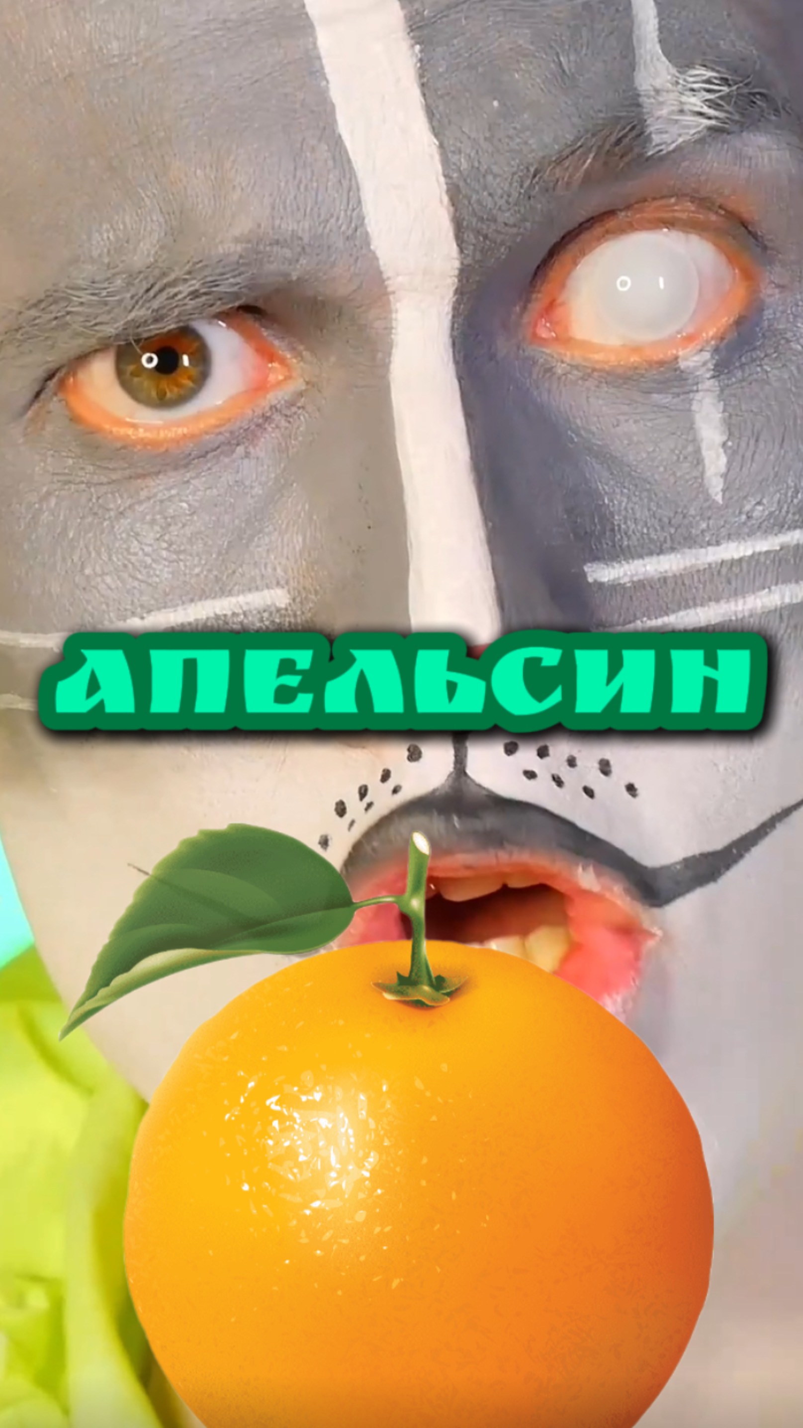 Кот Учёный и Битва апельсинами 🍊 смотреть онлайн