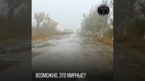 Покровск в тумане. ВСУ. Ошибка ценою в жизнь!