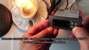 Как создать простой регулятор температуры для инкубатора с помощью ПИД-термостата Haswill 113M?