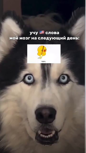 У тебя также?🤪