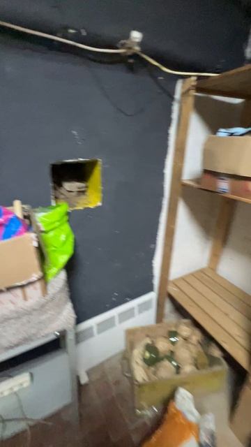 5поле октябрь смотреть онлайн