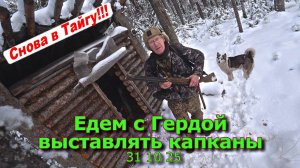 Едем с Гердой выставлять капаканы 31 10 25