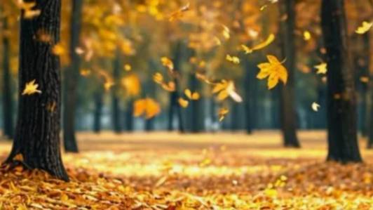 Открытка добрый вечер музыкальное пожелание