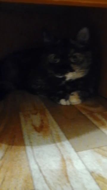 Наша Милашка смотреть онлайн