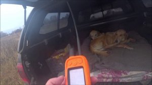 Опять гоняли мастеровитого зайца