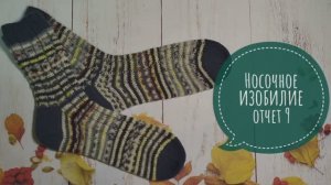 ✨СП "Носочное изобилие " с Олей Яковлевой ✨Тема: "Любимые узоры" ✨Отчет 9✨