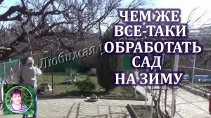 Чем обработать сад поздней осенью по голым веткам.