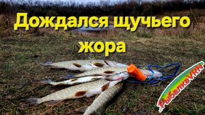 [2025]Рыбалка на спиннинг в ноябре