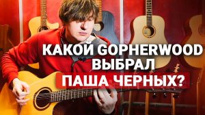 БЕЗ Прикрас: ПРОФИ-гитарист Павел Черных ОЦЕНИВАЕТ Гитары Gopherwood!