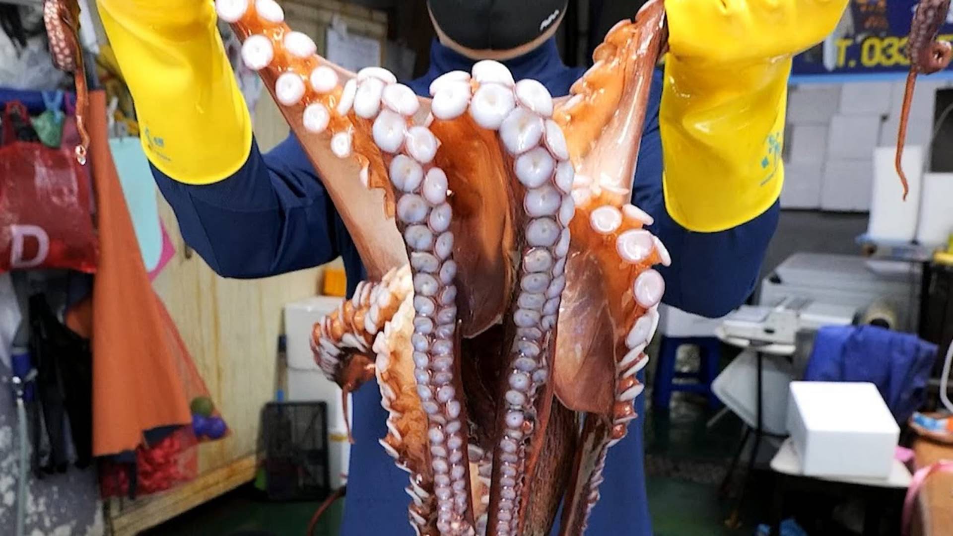 Гигантский королевский осьминог и мини-осьминог. Корейская кухня смотреть онлайн