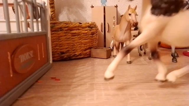 неожиданная стена🫨🤕 (лошади шляйх видео