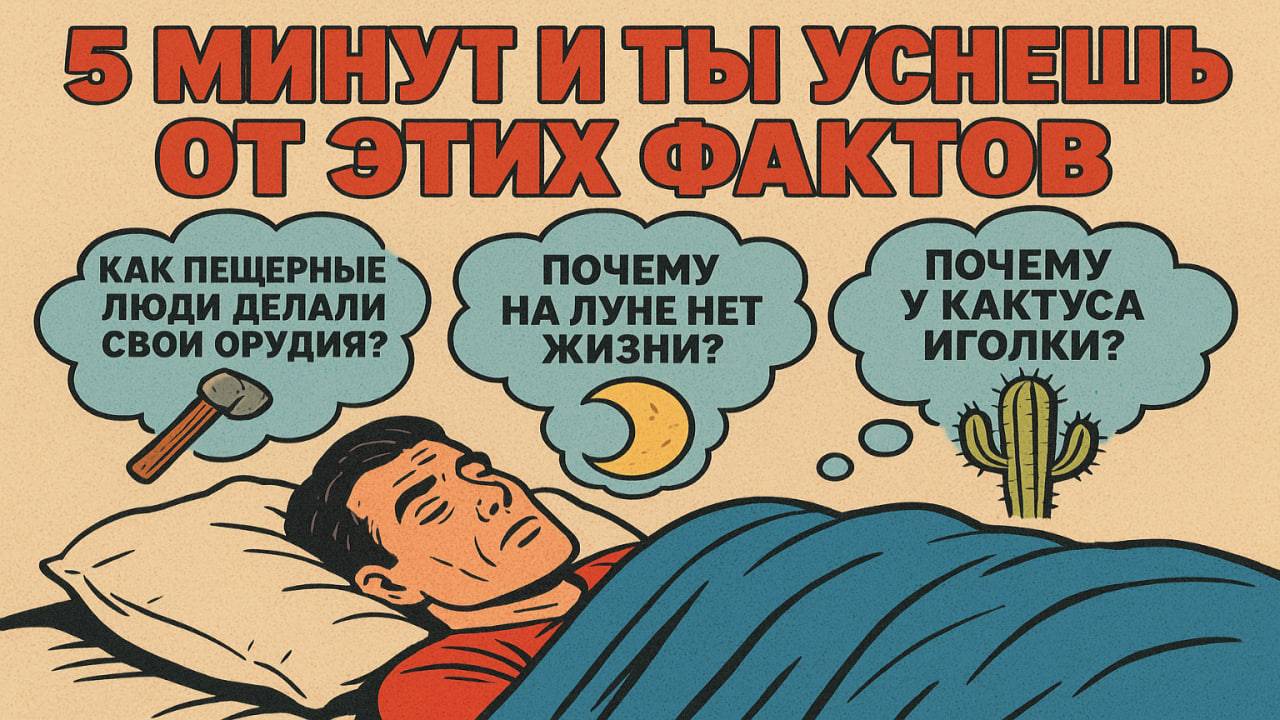 Факты перед сном, чтобы быстро уснуть | Удивительные научные и исторические факты смотреть онлайн