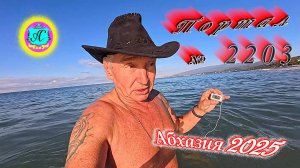 #Абхазия2025🌴 02.11.25г.🔥 Выпуск № 2203❗вчера +20°🌡ночью +11°🌡море +16,6°🐬