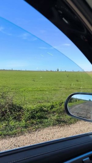 хавал М6 дефлекторы