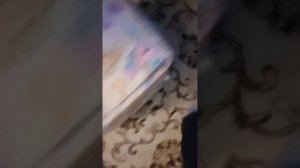 кот Тимофей и Милота (коты с озвучкой) часть 2