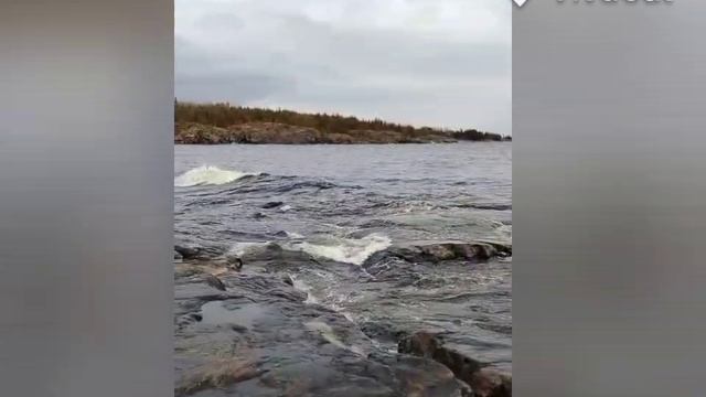 Осень на Ладоге mp4