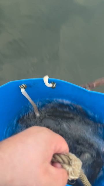 Запуск форели 250кг смотреть онлайн