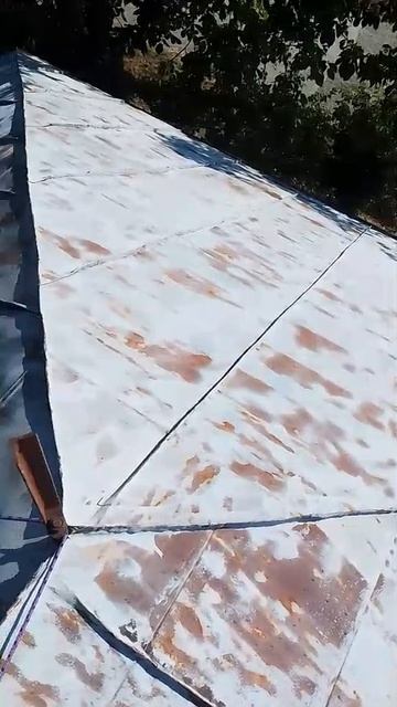 моем и красим крыши