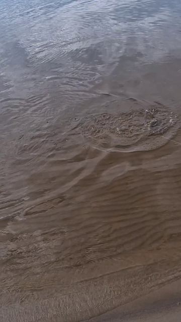 Мочный ОКУНЬ!!! смотреть онлайн