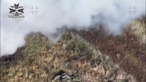 Минус американская свинотряска с десантом