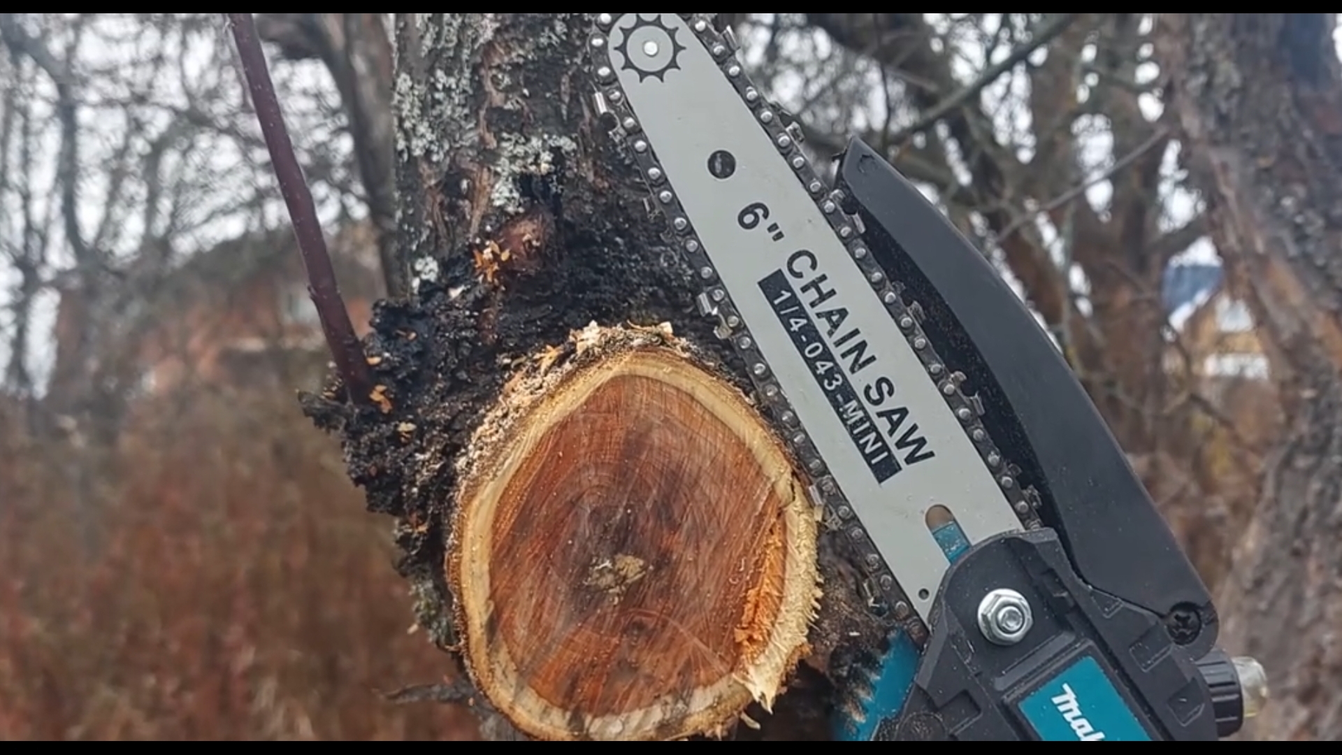 Распил деревьев в Саду пилой аккумуляторной мини сучкорез Макита -2 серия смотреть онлайн