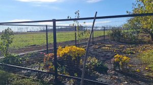 Жизнь в Деревне.