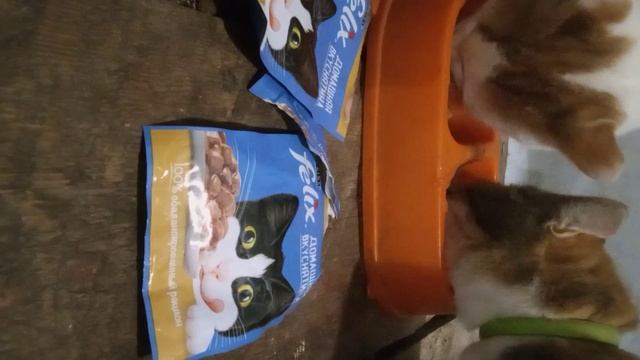 Влажный корм Феликс птица и коты смотреть онлайн