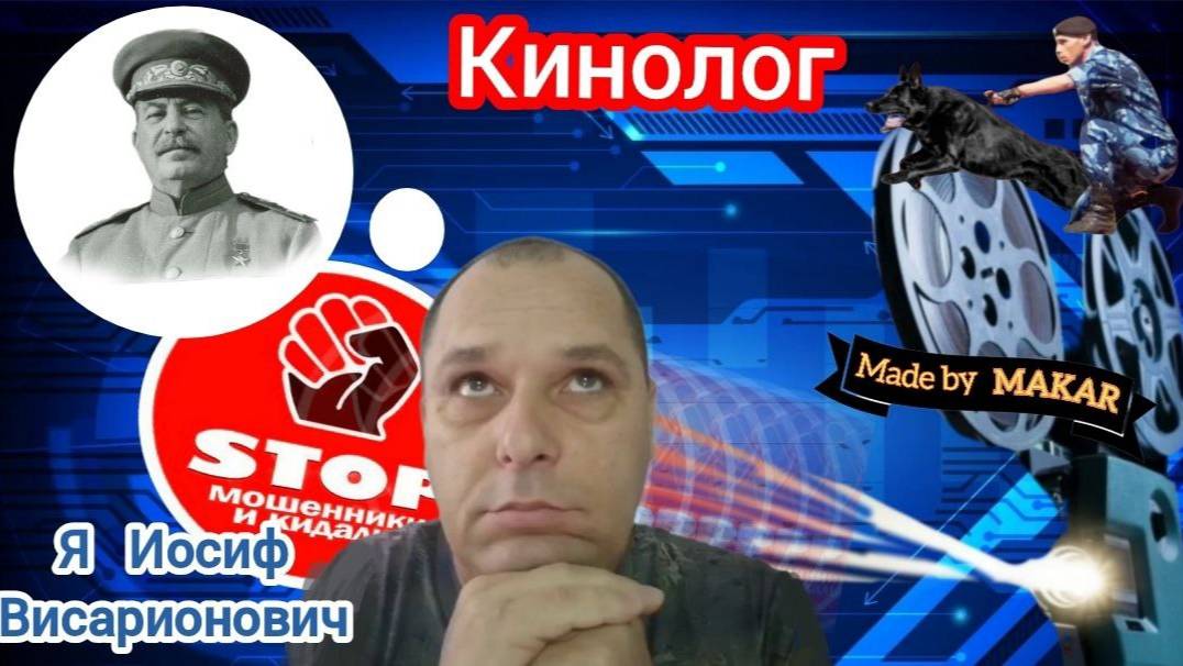 Униженные и оскорблённые мошенники расползлись по норам. Дрессировка мошни от автора Андрей Кинолог. смотреть онлайн