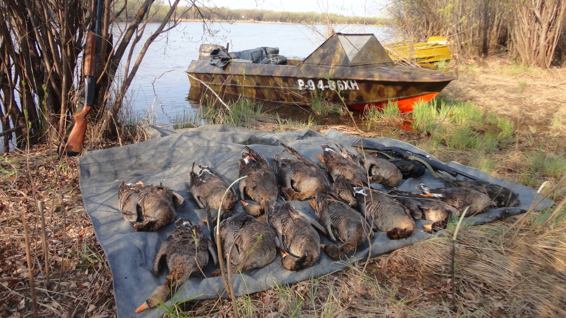 2012-2013 Ностальжи