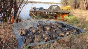 2012-2013 Ностальжи