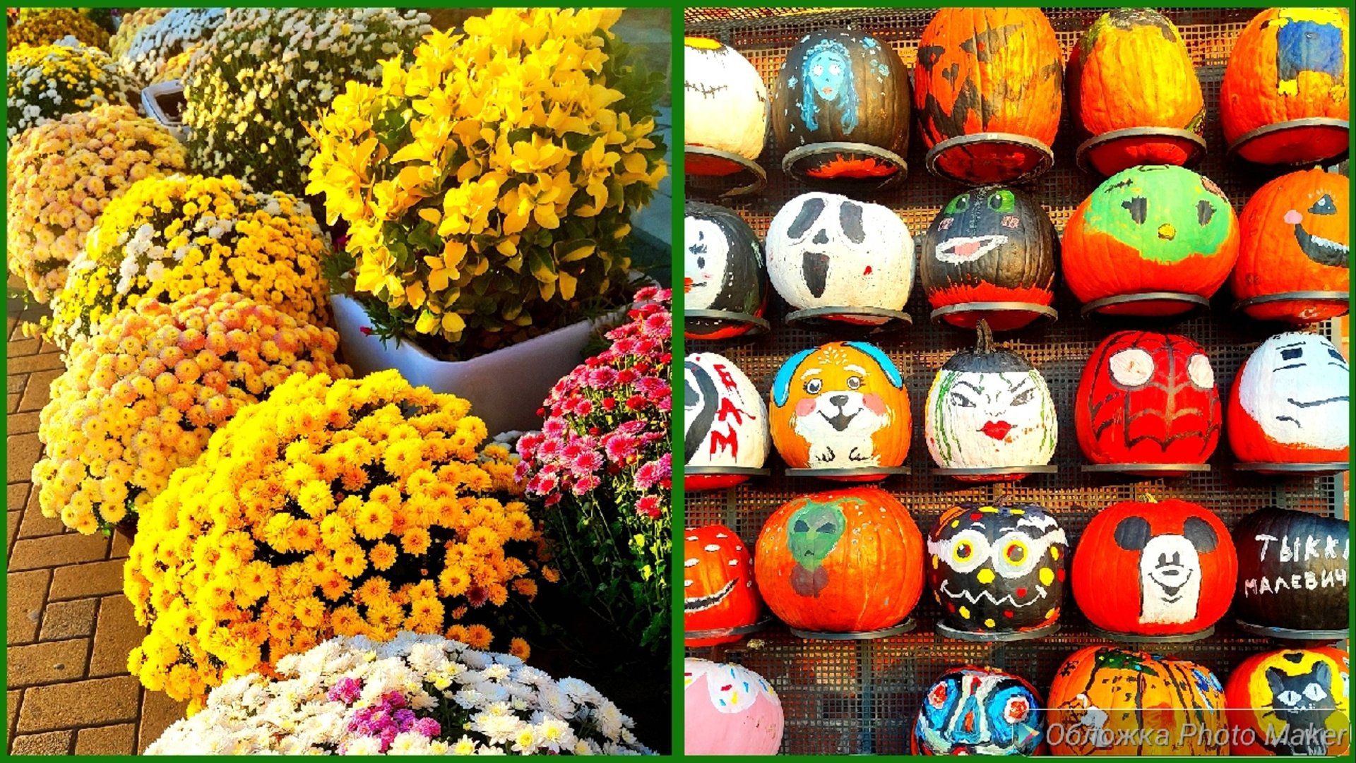 Посуда в золотом яблоке 🍏/ Магазин Фамилия 💜 новинки/ Прогулка смотреть онлайн