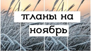 планы на НОЯБРЬ 2025