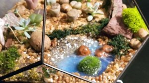 Флорариум "Полёт над Литопсяндией". Подарок, который заменит букет. Изготовление флорариума на заказ