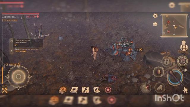 Камень в Grimsoul!