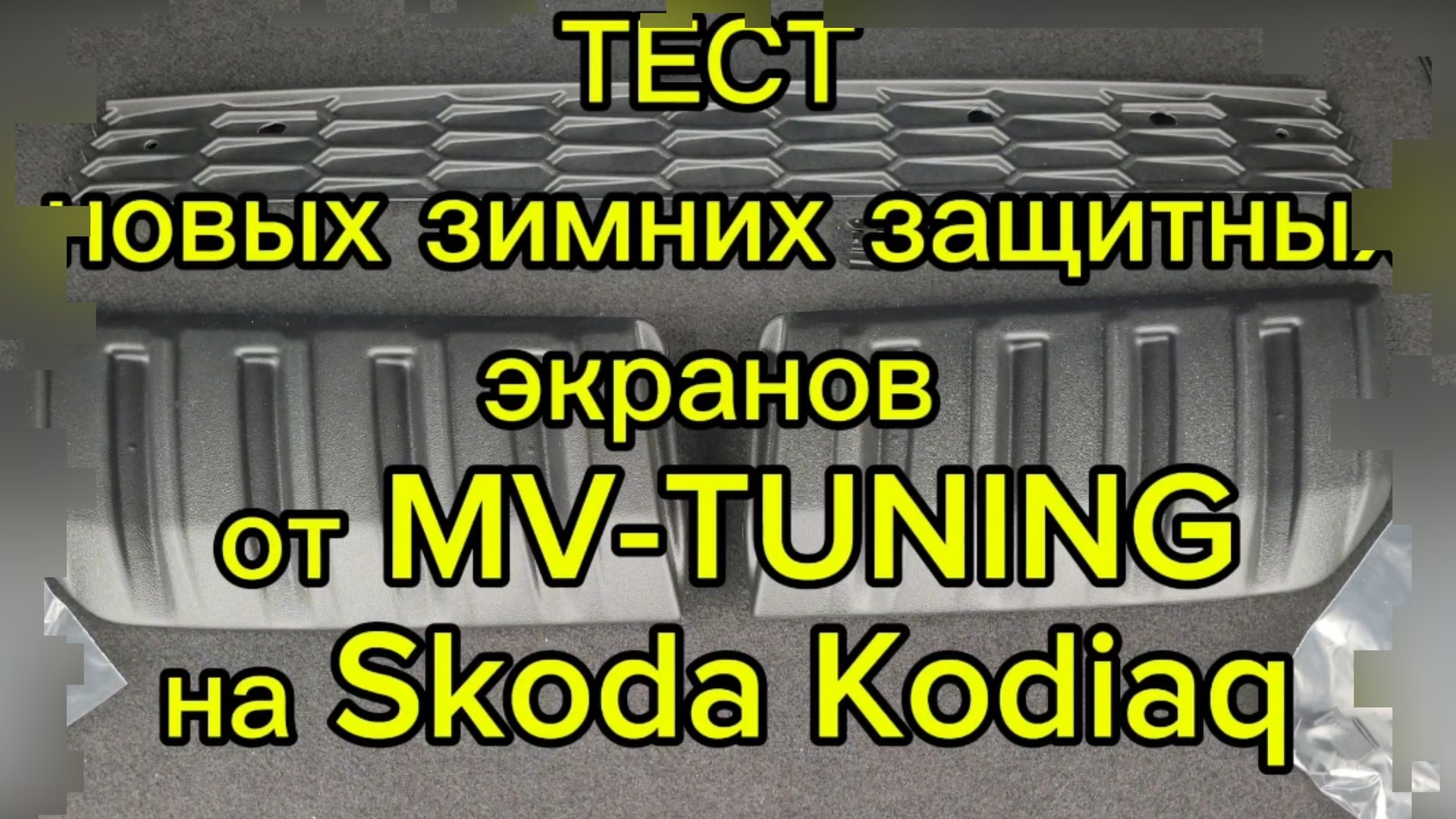 Тест новых зимних защитных экранов от MV-TUNING на Skoda Kodiaq 1 gen смотреть онлайн