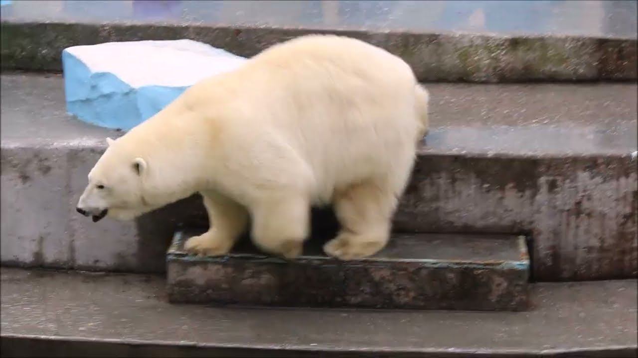 Осенний привет от Герды 30.10.2025 смотреть онлайн