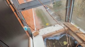 Виноград на балконе. Обрезка и укрытие.