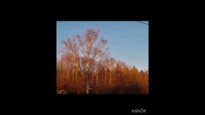 Село Бунчуковка Белокуракинского муниципального округа