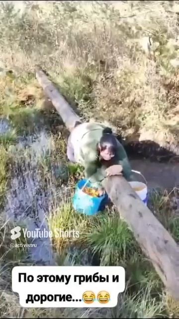 Причины подорожания грибов в России! #грибы #грибники #круто #экстрим #ужас #страшно #кошмар смотреть онлайн