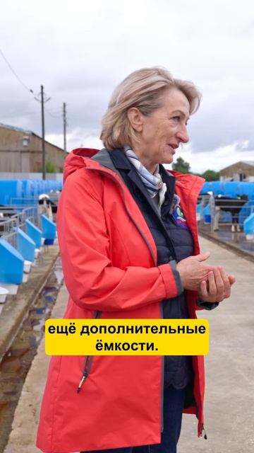 Постоянная СТРОЙКА на ферме! #фермер #сельскоехозяйство #стройка #коровы #строительство смотреть онлайн