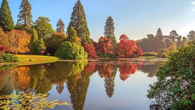 Зеркальный мир смотреть онлайн