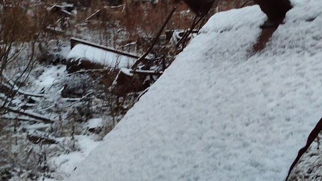 Станция Сейда.(Коми АССР).Свалка 