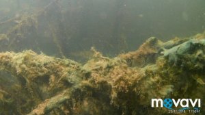 Также видео от В.В.К. Теперь рыбалка.