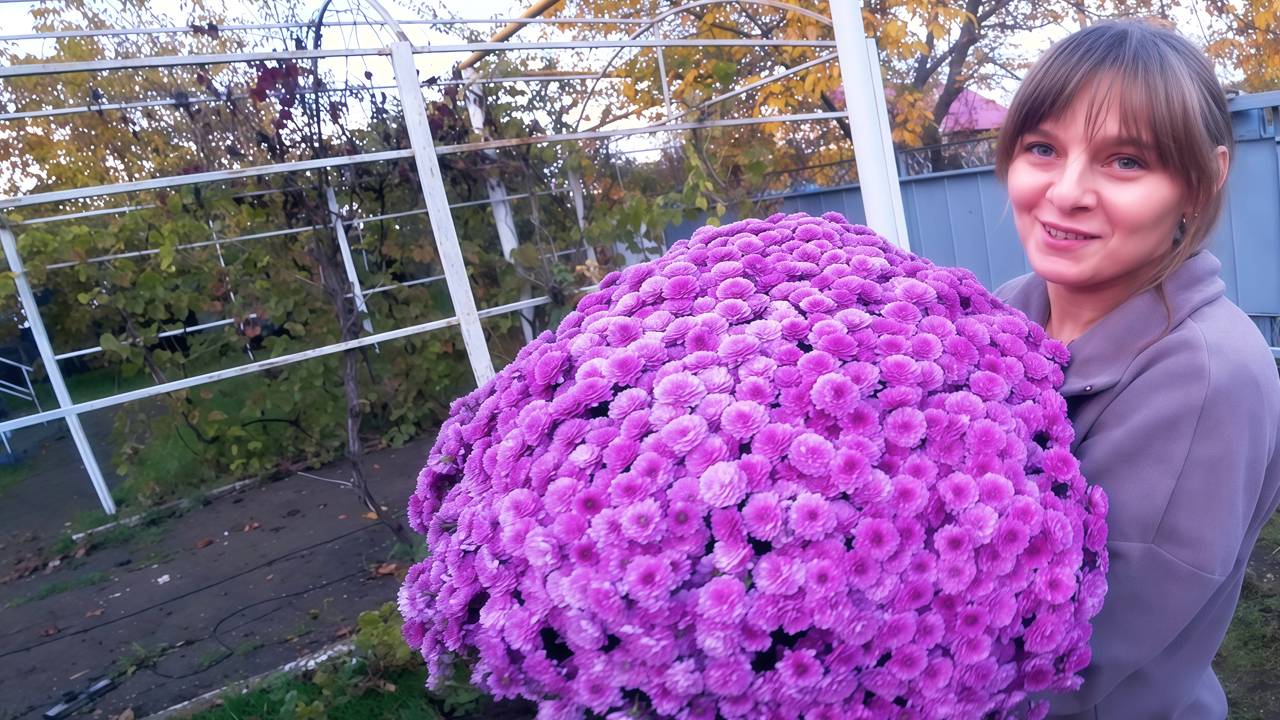 СЕЗОН ПОСАДОК ОТКРЫТ! КРАСИВЫЕ ЦВЕТЫ И ФРУКТОВЫЕ ДЕРЕВЬЯ В НАШЕМ САДУ. ИЗ ГОРОДА В ДЕРЕВНЮ 865серия смотреть онлайн