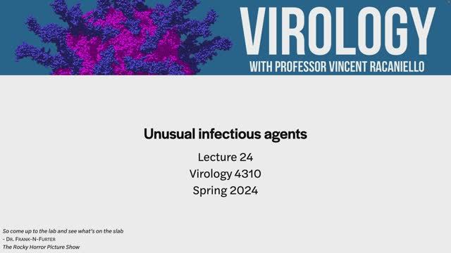 Virology Lectures 2024 #24 Unusual infectious agents смотреть онлайн