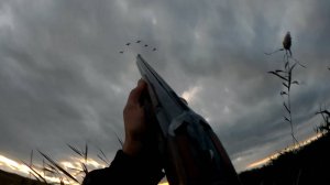 ОХОТА НА УТКУ. Утка летит, а я стрелять разучился...