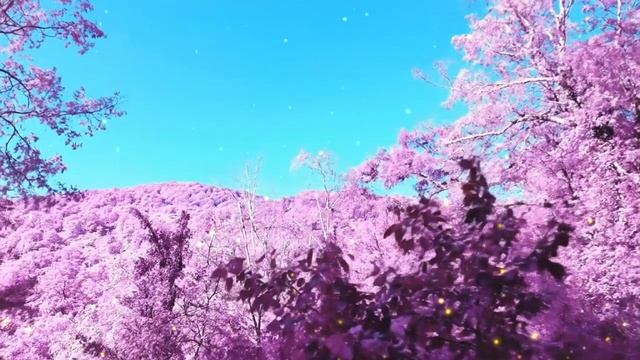 Волшебное утро - музыка для отдыха и хорошего настроения смотреть онлайн